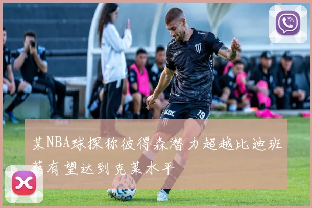 某NBA球探称彼得森潜力超越比迪班萨有望达到克莱水平
